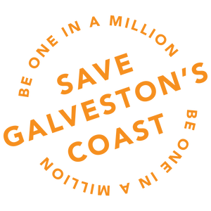 Team Page: Kristen's Team